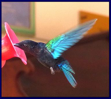 Cliquez pour agrandir l'image