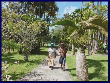 Cliquez pour agrandir l'image