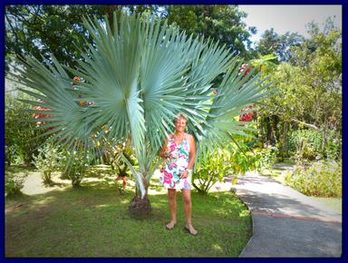 Cliquez pour agrandir l'image