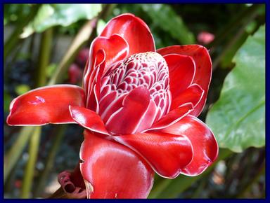 Cliquez pour agrandir l'image