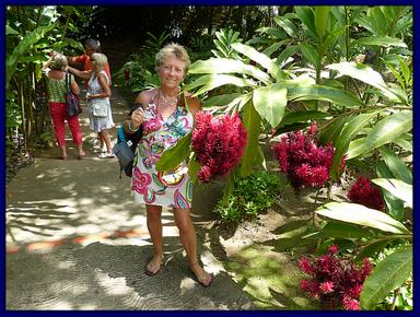 Cliquez pour agrandir l'image