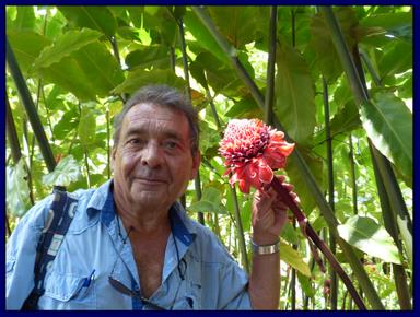 Cliquez pour agrandir l'image