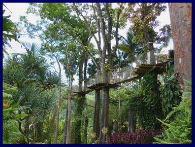 Cliquez pour agrandir l'image