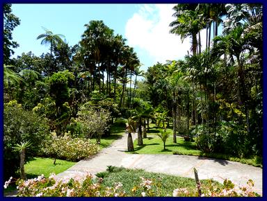 Cliquez pour agrandir l'image