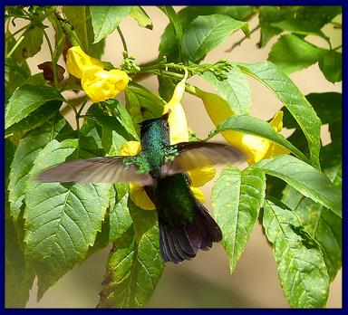 Cliquez pour agrandir l'image