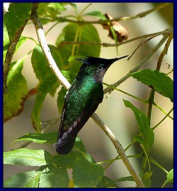 Cliquez pour agrandir l'image