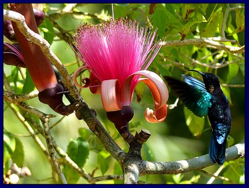 Cliquez pour agrandir l'image