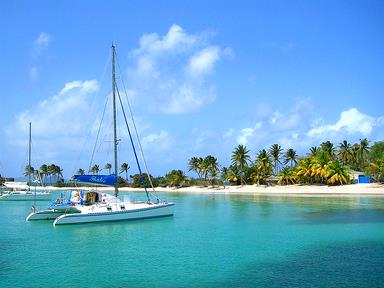 Cliquez pour agrandir l'image