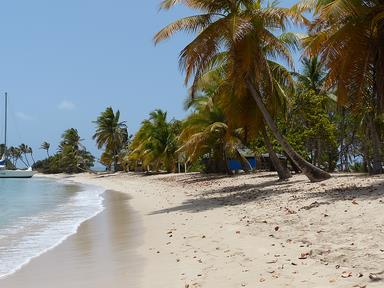 Cliquez pour agrandir l'image