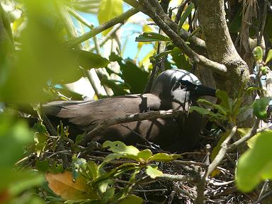 Cliquez pour agrandir l'image