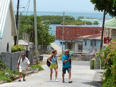 Cliquez pour agrandir l'image