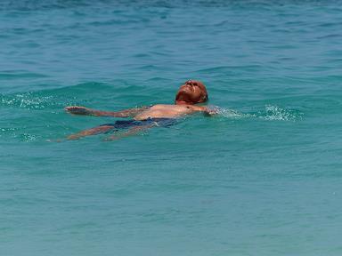 Cliquez pour agrandir l'image