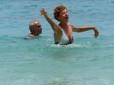 Cliquez pour agrandir l'image