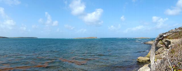 Cliquez pour agrandir l'image