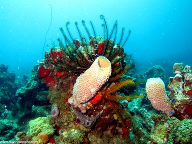 Cliquez pour agrandir l'image