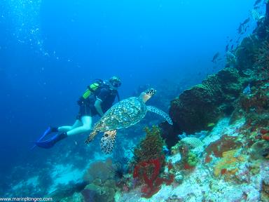 Cliquez pour agrandir l'image