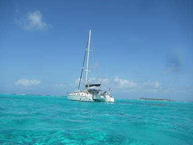 Cliquez pour agrandir l'image