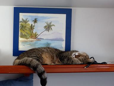 Cliquez pour agrandir l'image