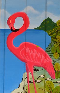 Cliquez pour agrandir l'image