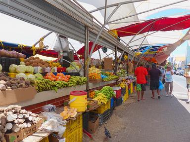 Cliquez pour agrandir l'image