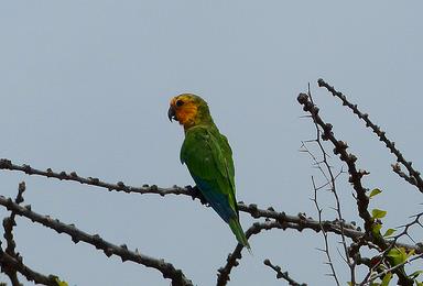 Cliquez pour agrandir l'image