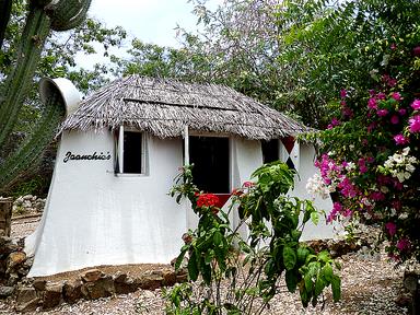 Cliquez pour agrandir l'image