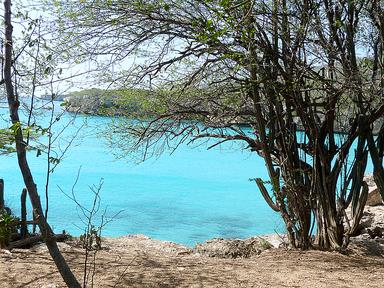 Cliquez pour agrandir l'image