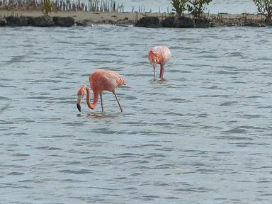 Cliquez pour agrandir l'image