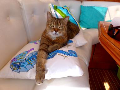 Cliquez pour agrandir l'image