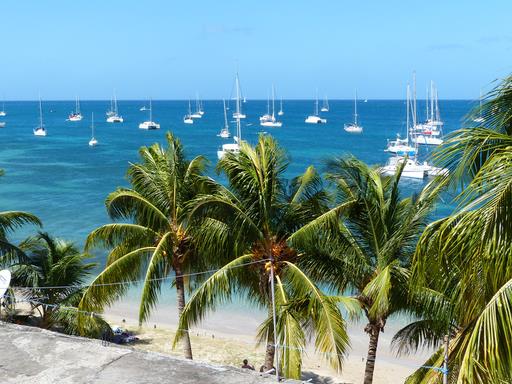 Cliquez pour agrandir l'image