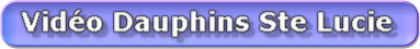 mon film dauphin pour site def.wlmp