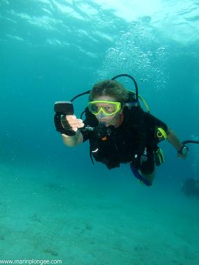 Cliquez pour agrandir l'image