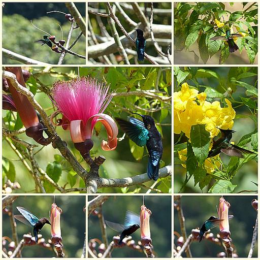 Cliquez pour agrandir l'image