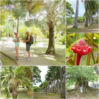 Cliquez pour agrandir l'image