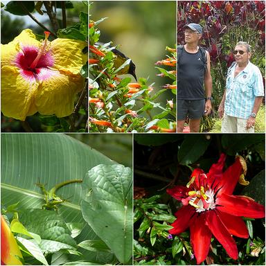 Cliquez pour agrandir l'image