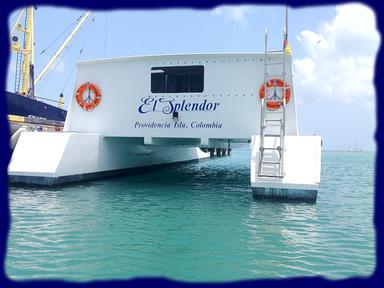 Cliquez pour agrandir l'image