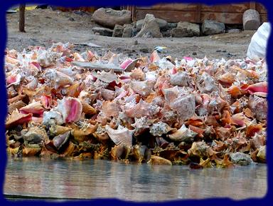 Cliquez pour agrandir l'image Cliquez pour agrandir l'image