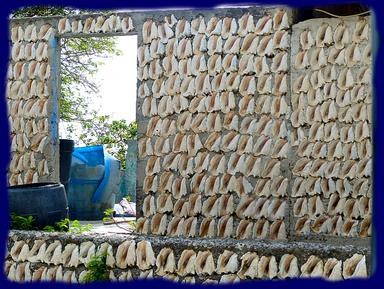 Cliquez pour agrandir l'image