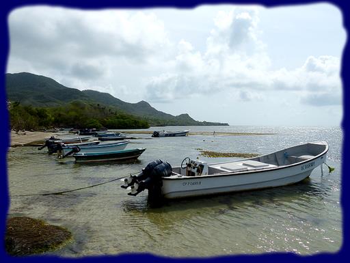 Cliquez pour agrandir l'image Cliquez pour agrandir l'image