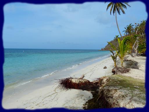 Cliquez pour agrandir l'image Cliquez pour agrandir l'image