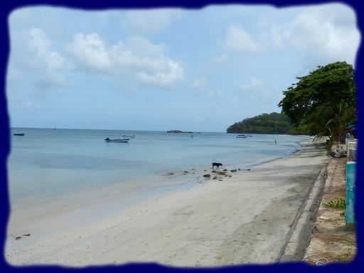 Cliquez pour agrandir l'image Cliquez pour agrandir l'image