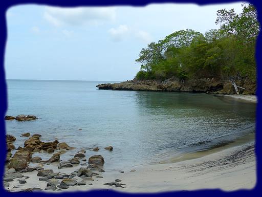 Cliquez pour agrandir l'image