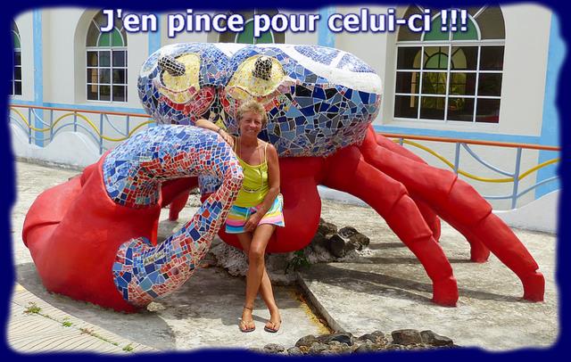 Cliquez pour agrandir l'image