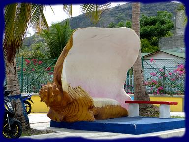 Cliquez pour agrandir l'image Cliquez pour agrandir l'image