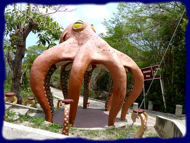 Cliquez pour agrandir l'image Cliquez pour agrandir l'image