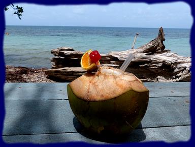 Cliquez pour agrandir l'image Cliquez pour agrandir l'image