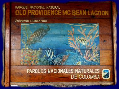 Cliquez pour agrandir l'image Cliquez pour agrandir l'image