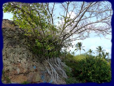 Cliquez pour agrandir l'image