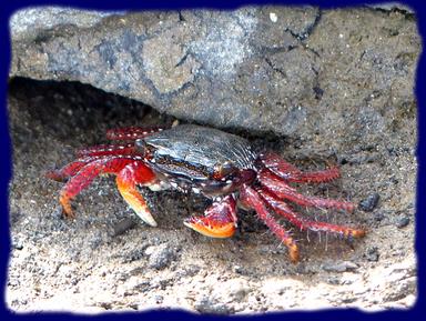 Cliquez pour agrandir l'image