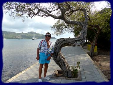 Cliquez pour agrandir l'image